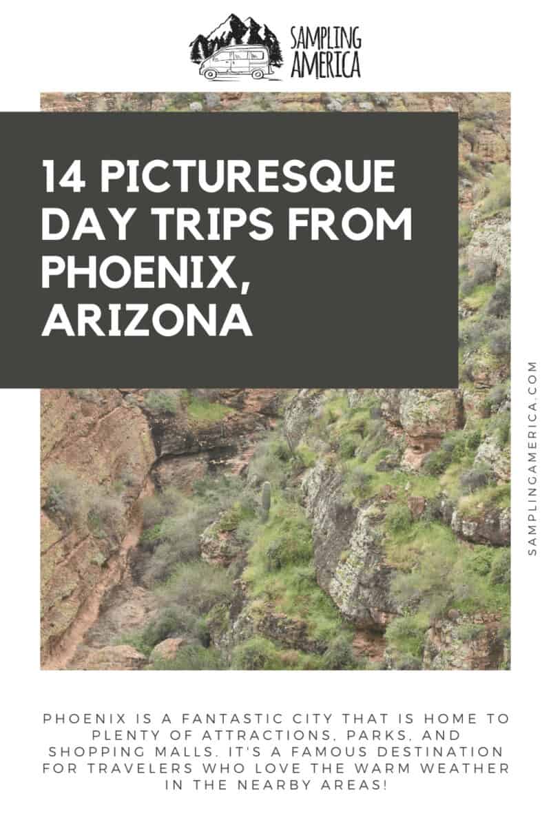 I've Never Felt More Alive: My Experience with 14 Day Trips From Phoenix 1 3 16