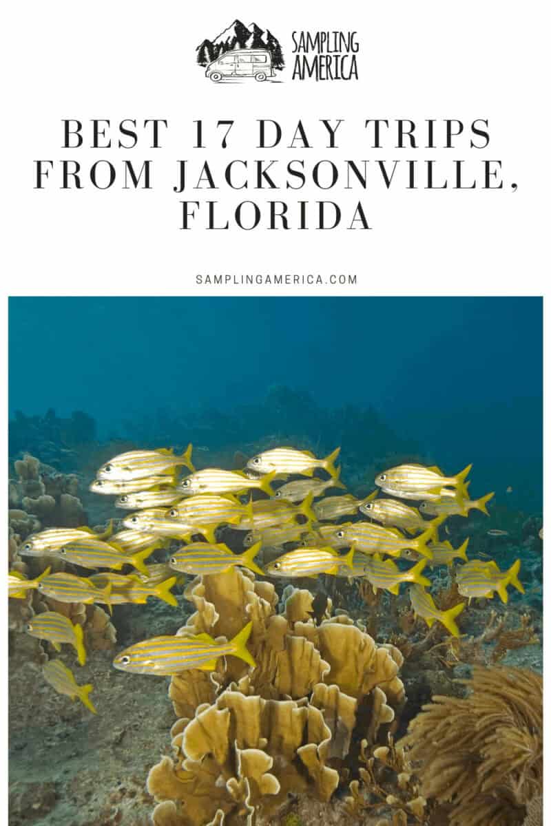 I Discovered Florida's Charm: 17 Day Trips From Jacksonville 9 9 8 1