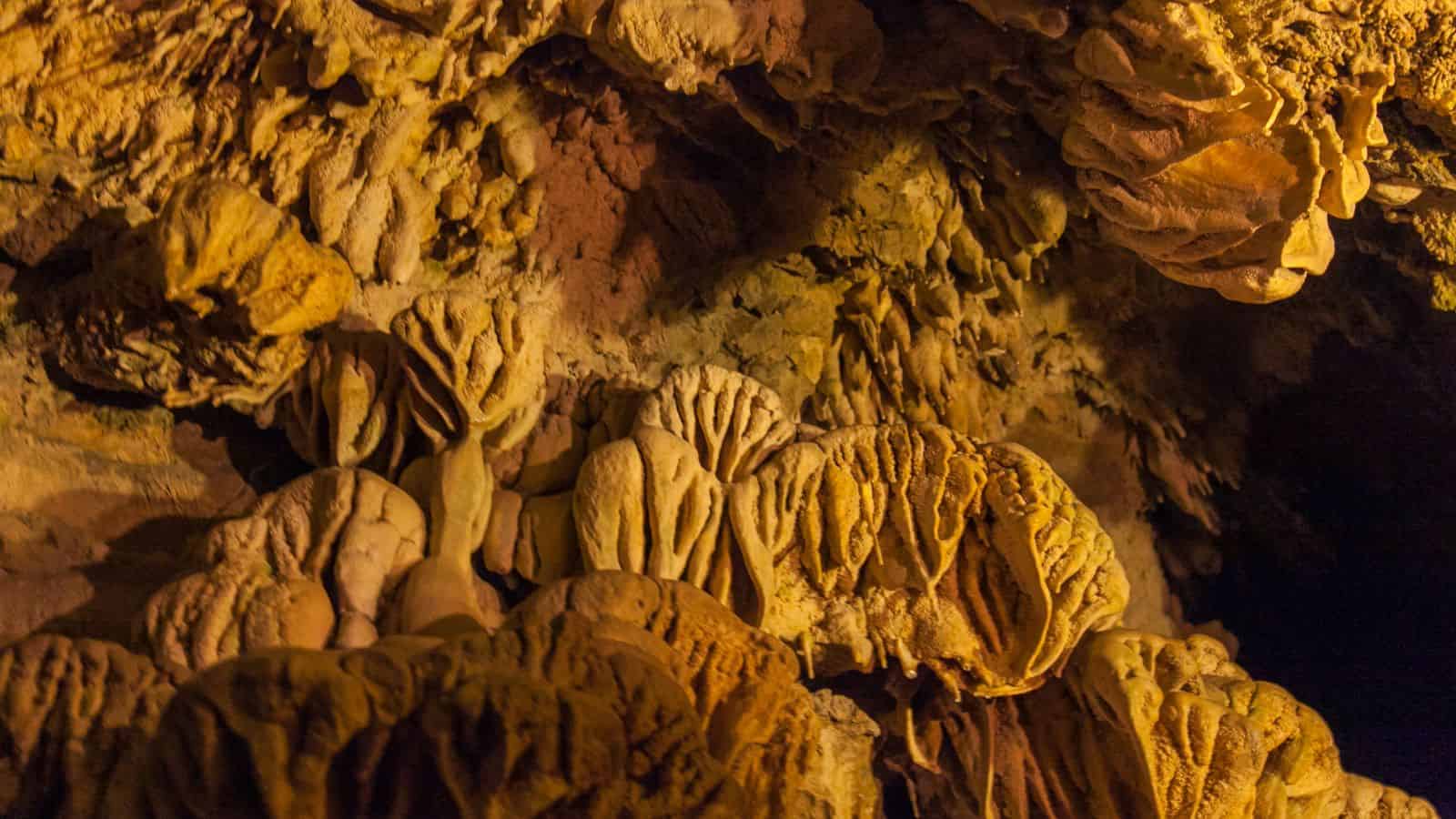 Your Perfect Getaway Guide: 19 Best Oregon Vacation Spots 39 Oregon Caves National Monument and Preserve, Oregon