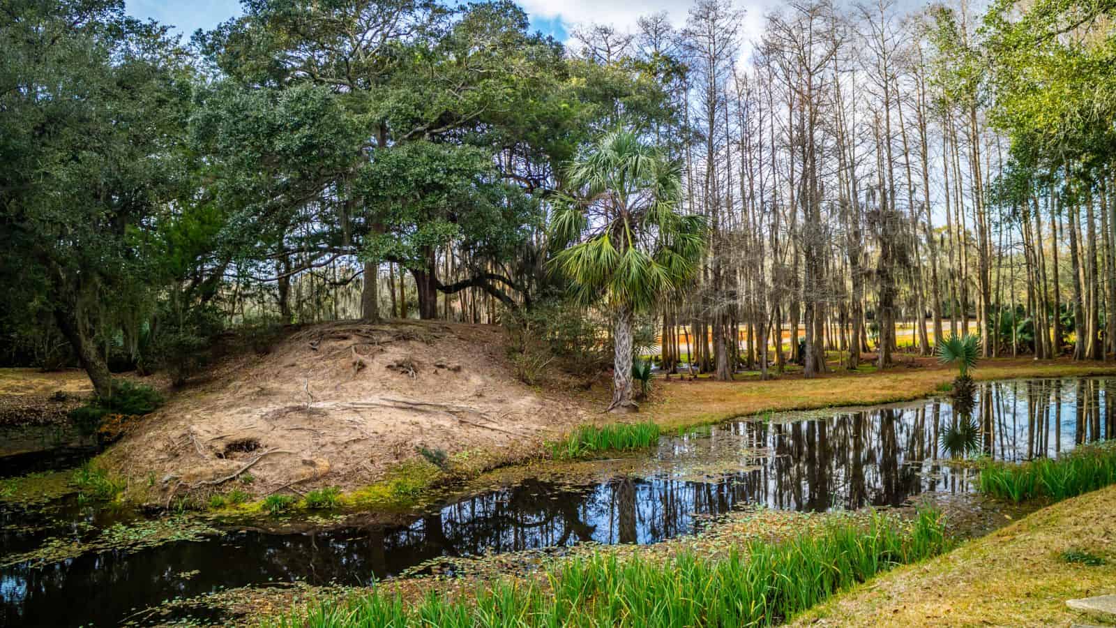 Louisiana Avery Island