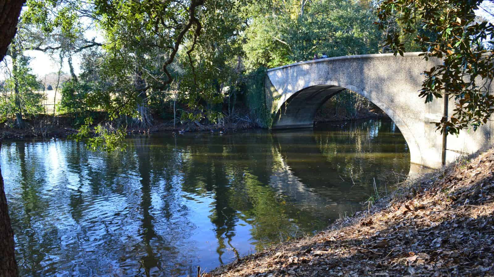 louisiana Audubon Park