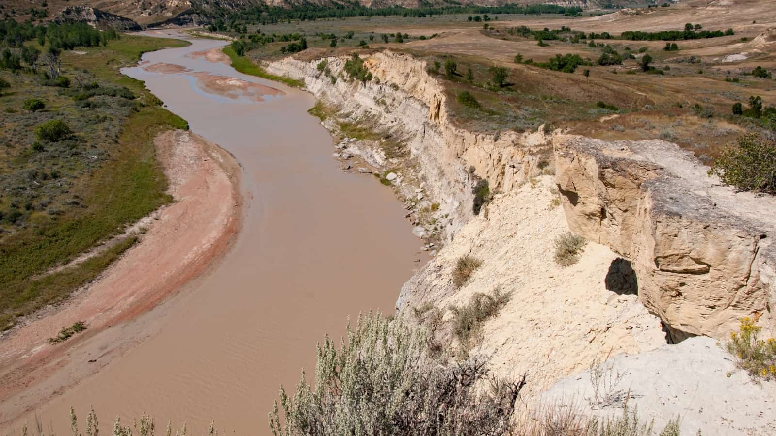 Eagle Bluffs Conservation Area