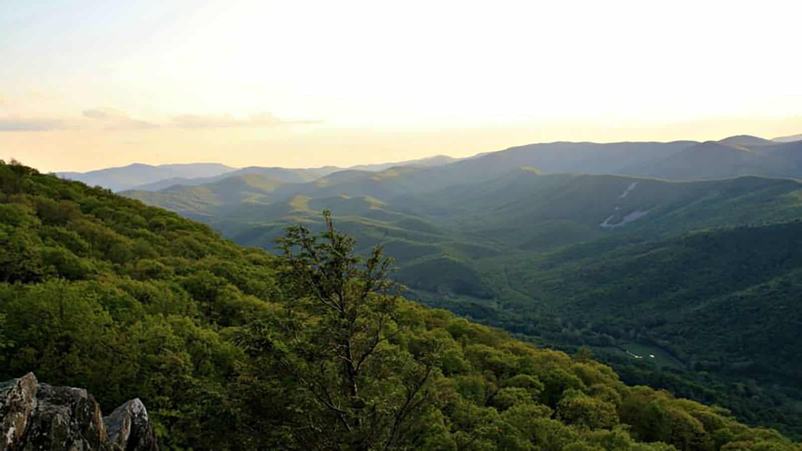 Read Mountain Preserve, Virginia