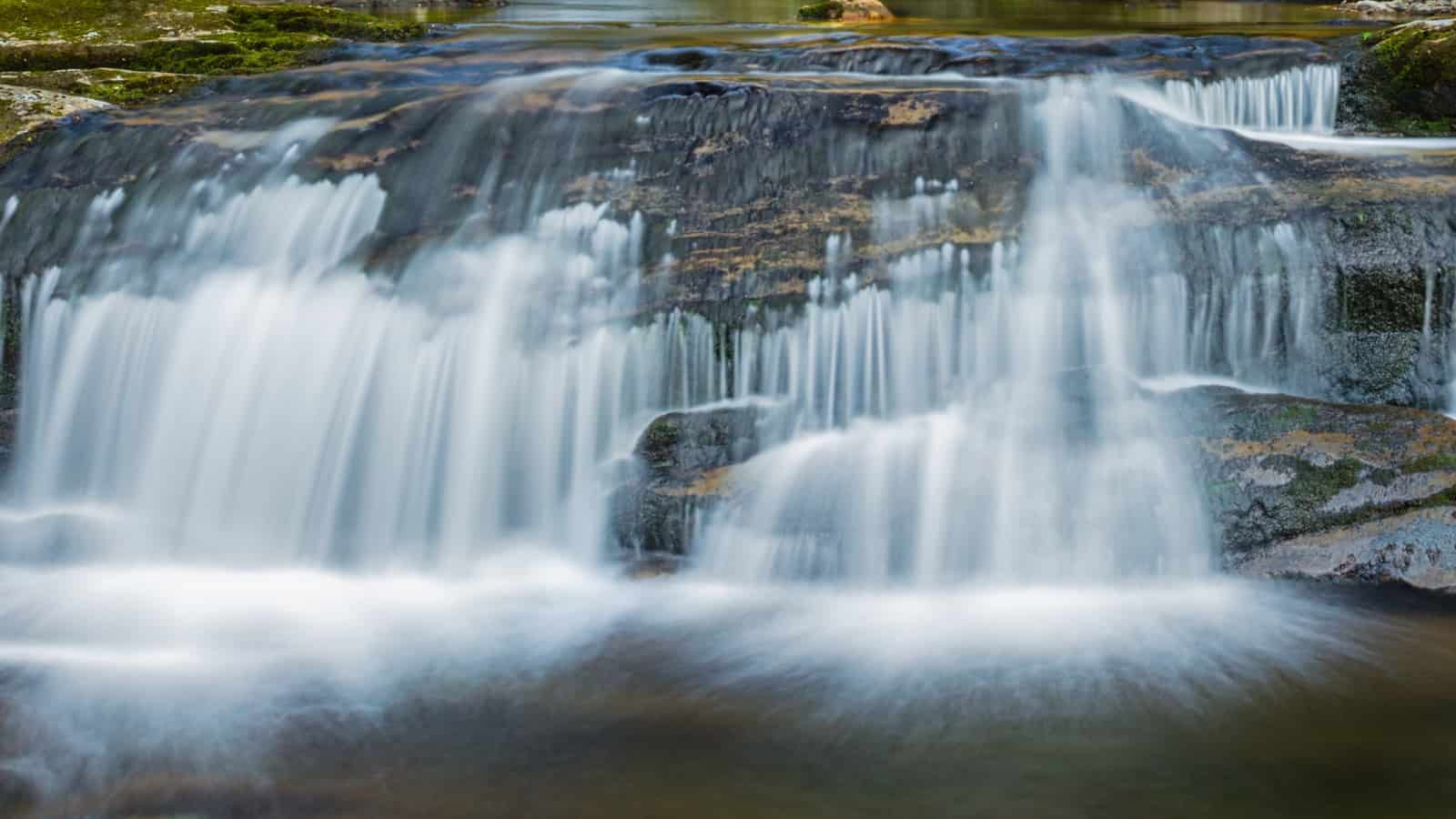 Boykin Springs