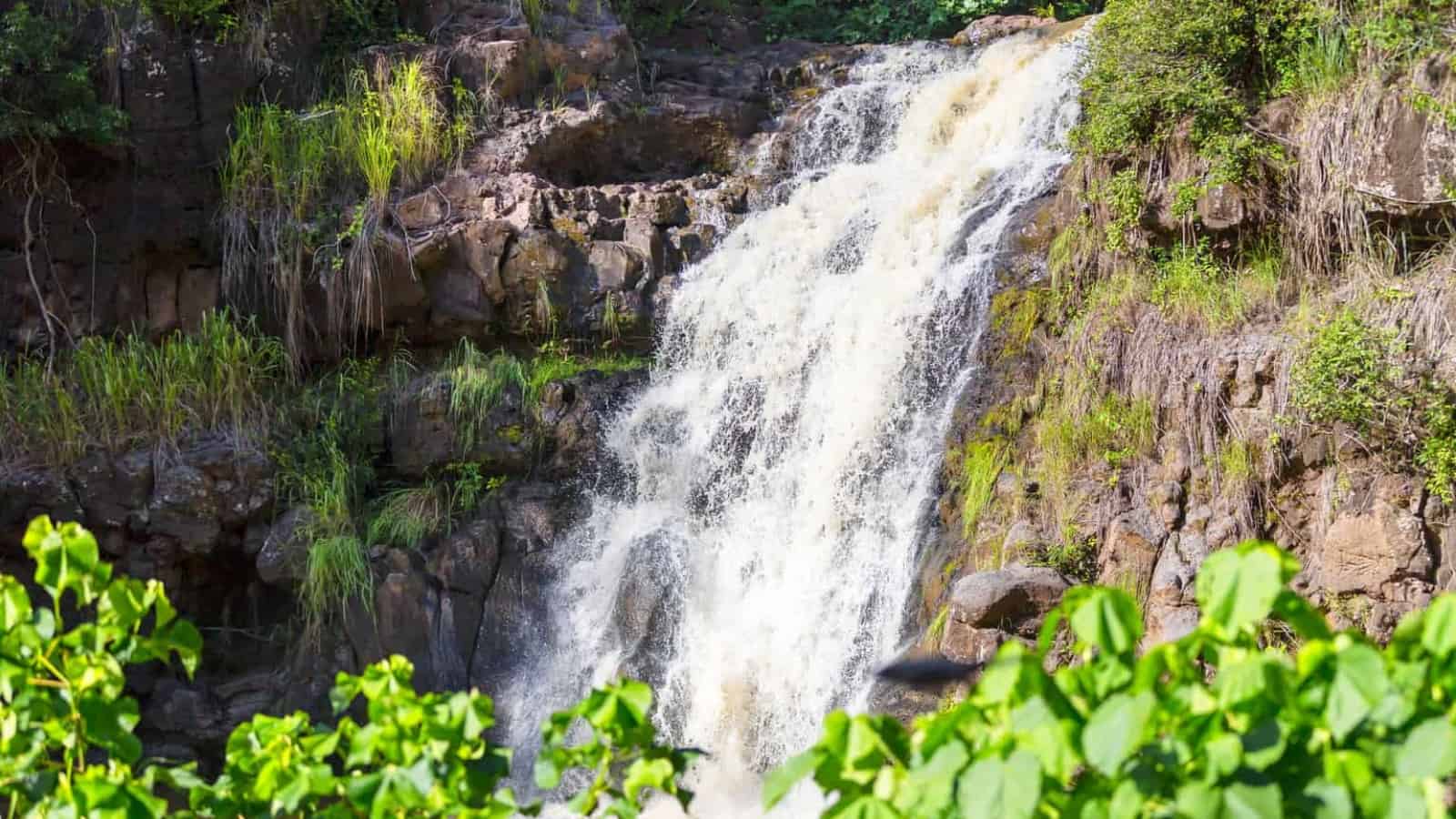 Waterfalls in Oahu
