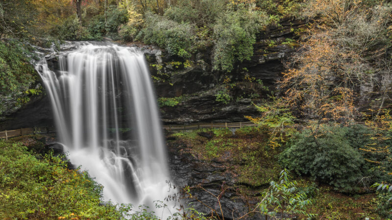 8 Waterfalls Near Fayetteville, NC (+ FAQs)