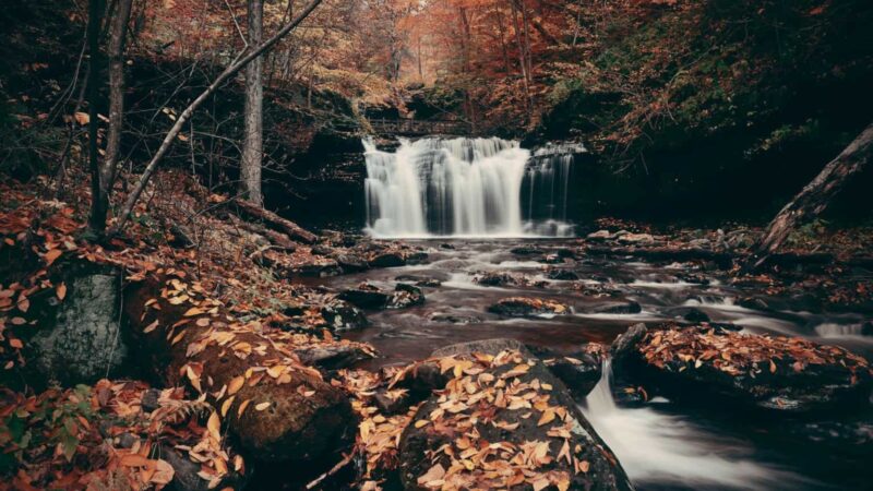 6 Waterfalls Near Watertown, NY, To Take Your Breath Away