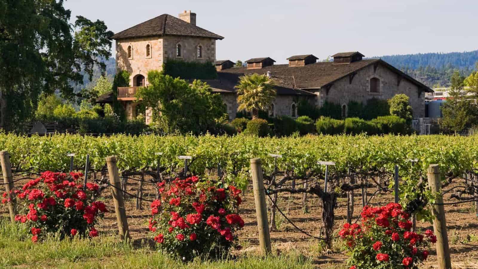 wineries in conneaut ohio