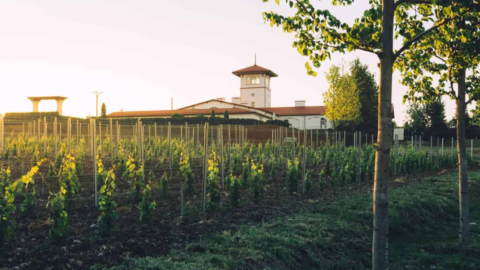 Wineries in Baraboo