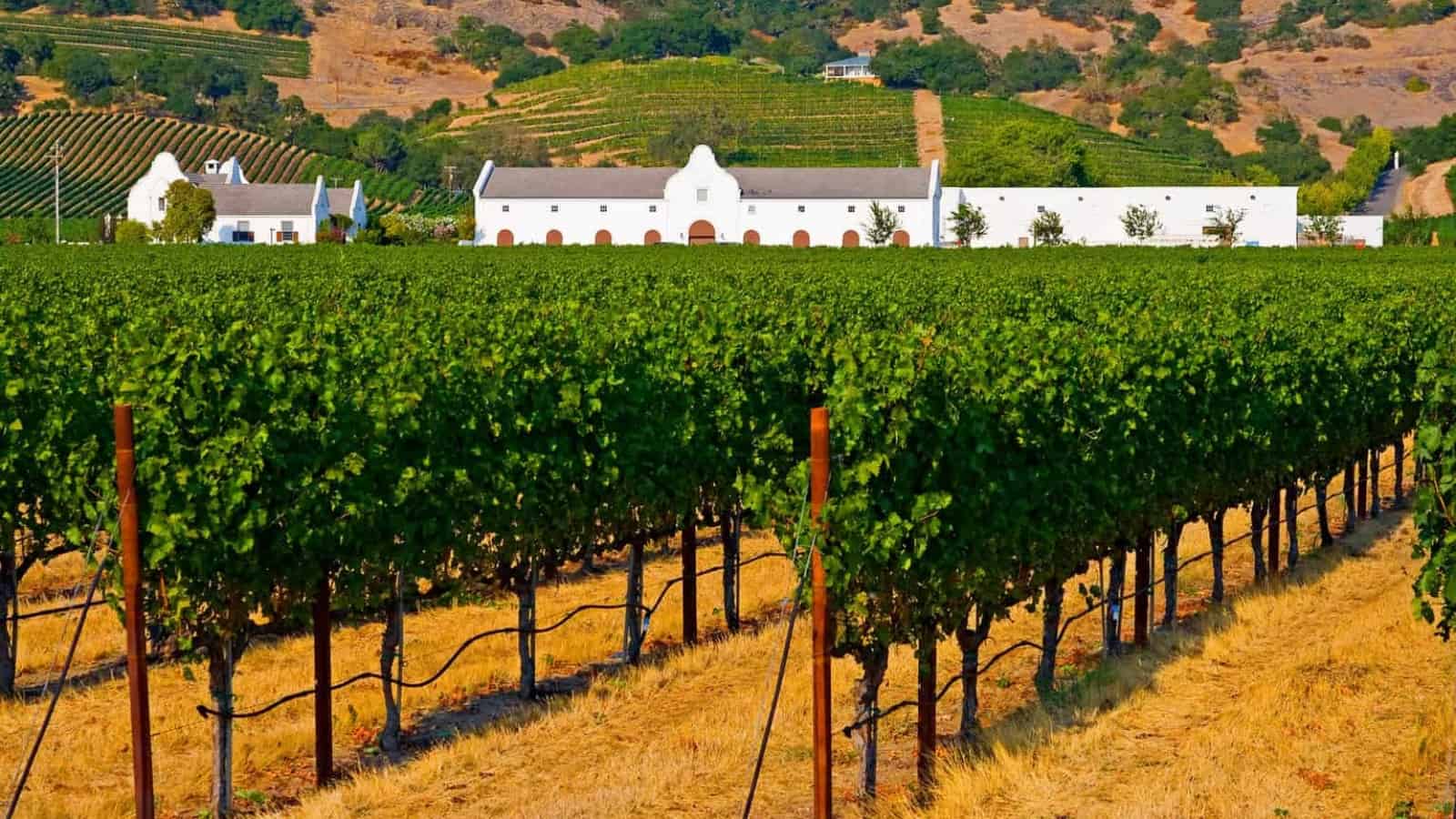 Wineries in Napa