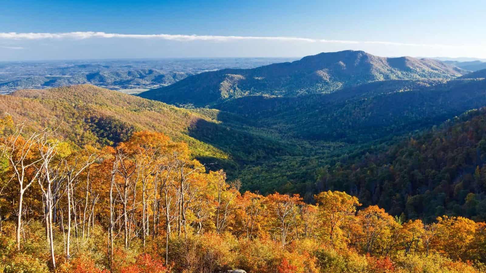 Best National Parks To Visit in March