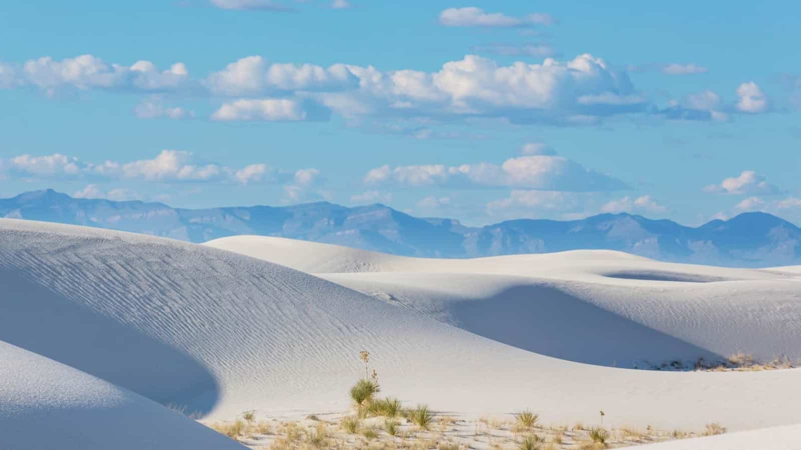 best national parks for dogs