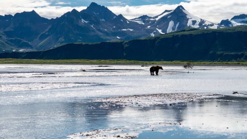 The 10 Best National Parks for Wildlife Enthusiasts