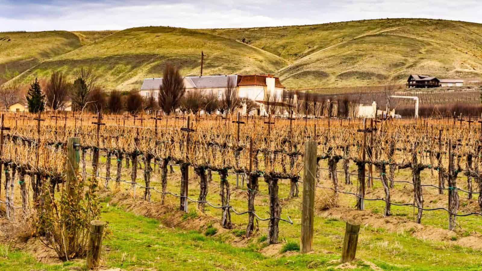Wineries in Woodinville