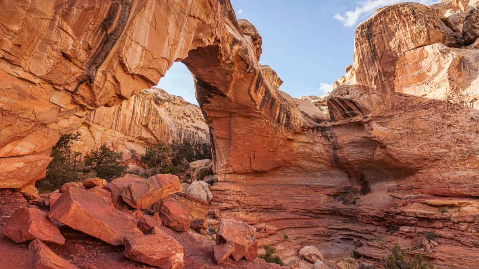 Capitol Reef National Park 1