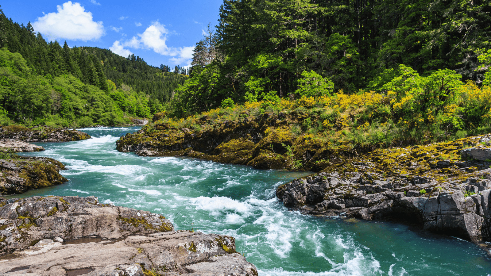 6 National Parks to Avoid This Summer (and the Alternatives) 7 North Cascades
