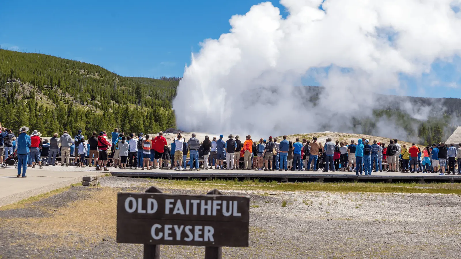 Old Faithful Yellowstone