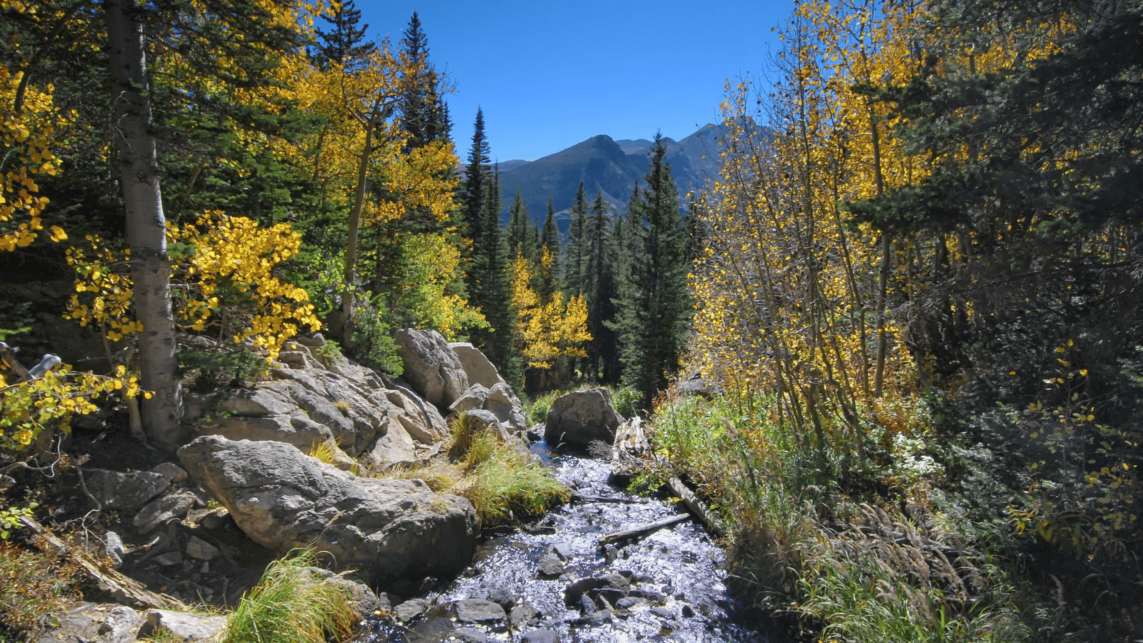 6 National Parks to Avoid This Summer (and the Alternatives) 6 Rocky Mountain National Park