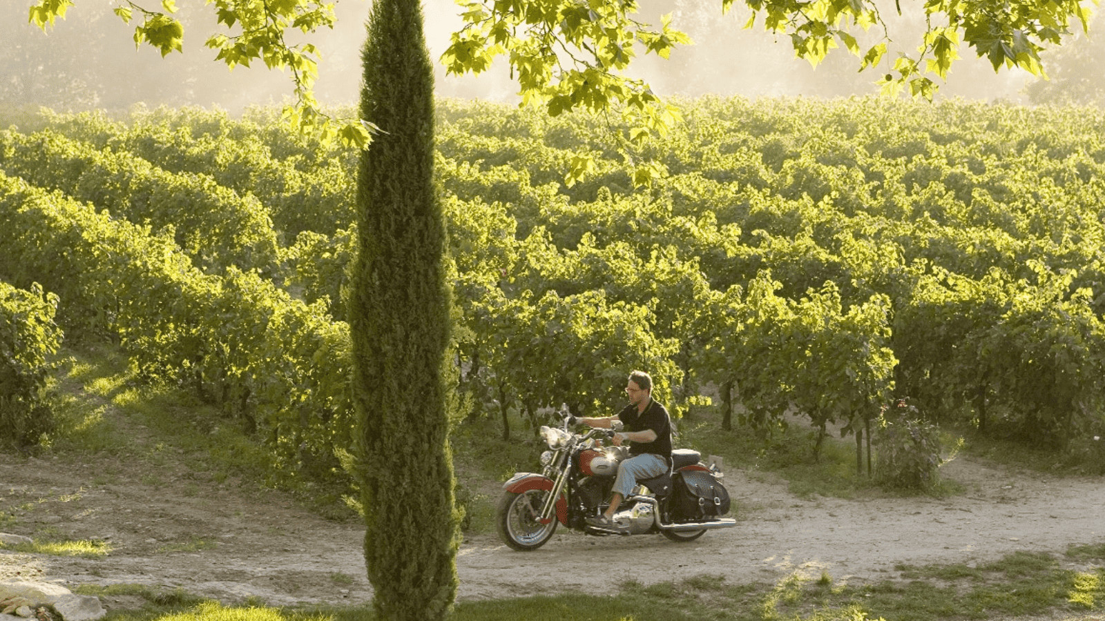 15 Epic Movies That Will Ignite Your Wanderlust 14 A Good Year