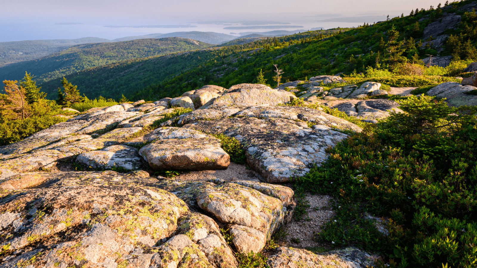 Unleash the Fun: 10 Pawsome Pet-Friendly US Vacation Spots! 3 Acadia National Park Maine
