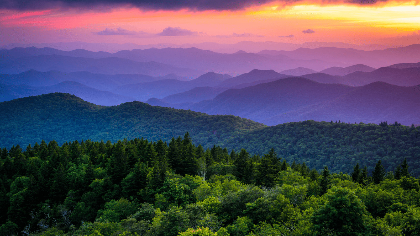 12 Unmissable US Cities for Breathtaking Fall Foliage 5 Asheville, North Carolina