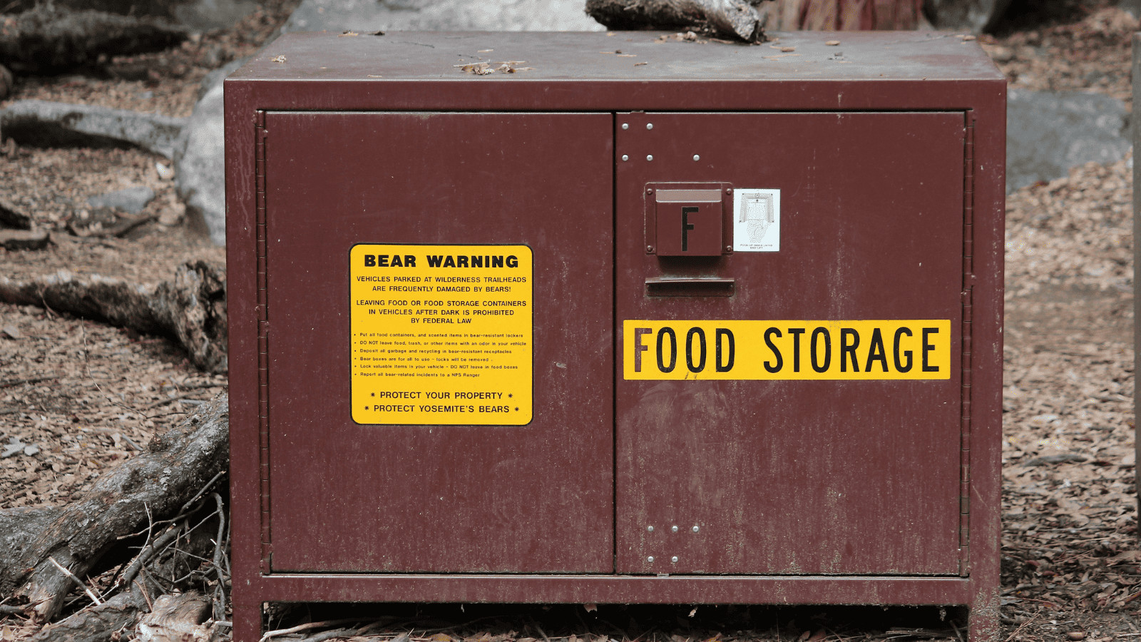How To Stay Safe When Visiting National Parks 11 Bear Food Storage