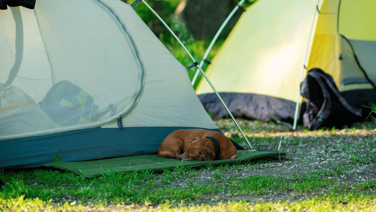 Camping Hacks 13