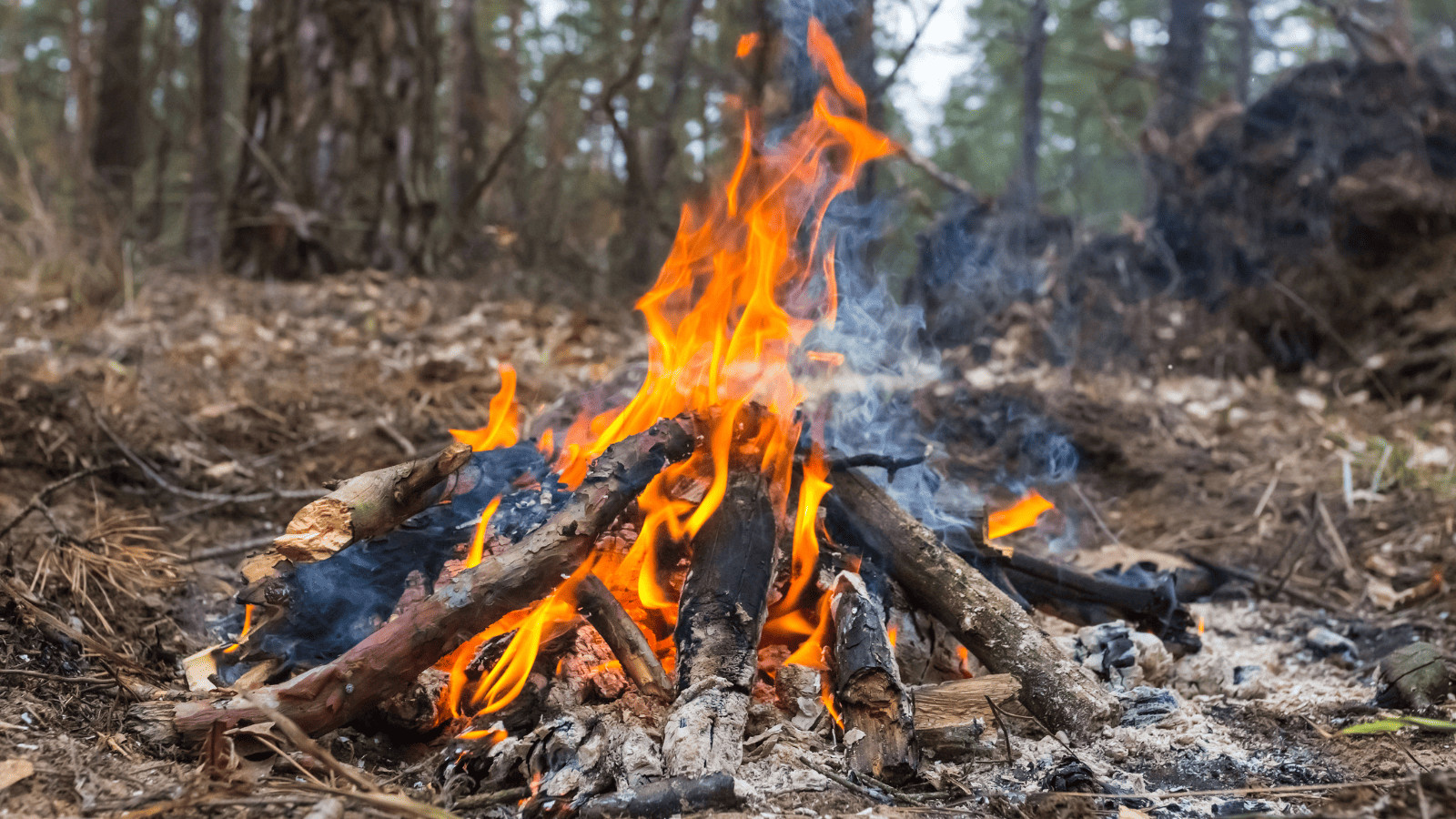 Camping Hacks 2