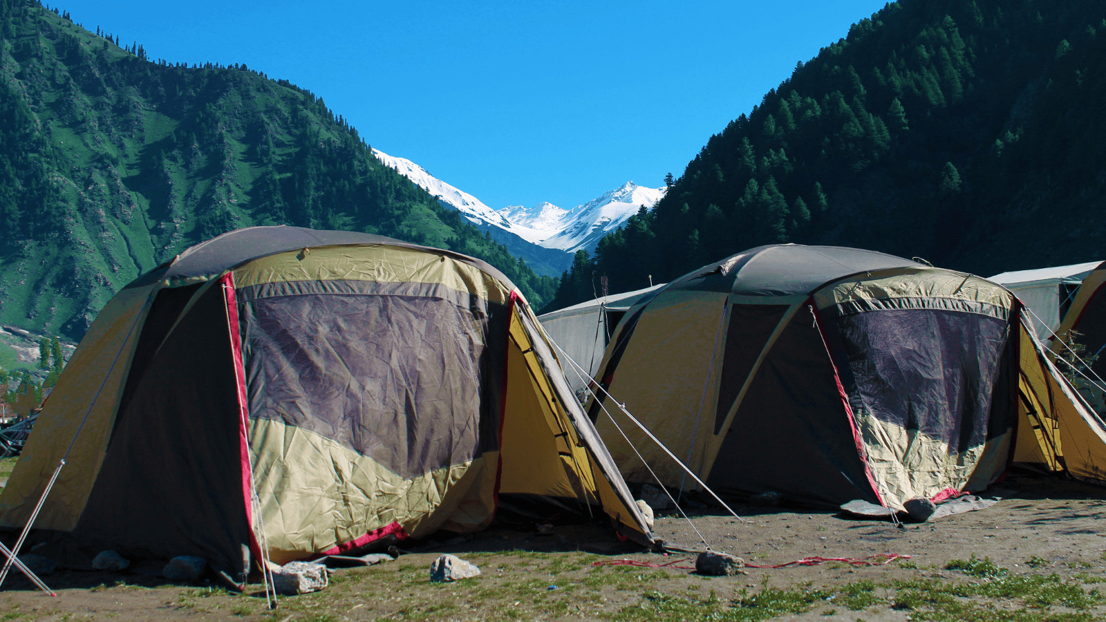 Camping on a Budget: 13 Affordable Camping Tips and Tricks 7 Camping Tents