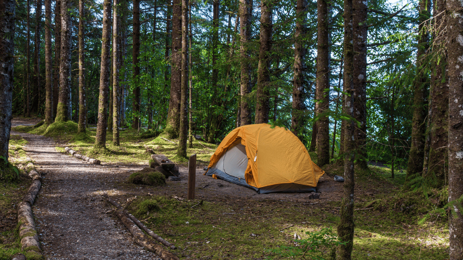 Camping