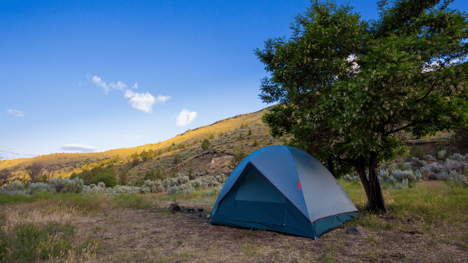 Camping on a Budget: 13 Affordable Camping Tips and Tricks 6 Campsites
