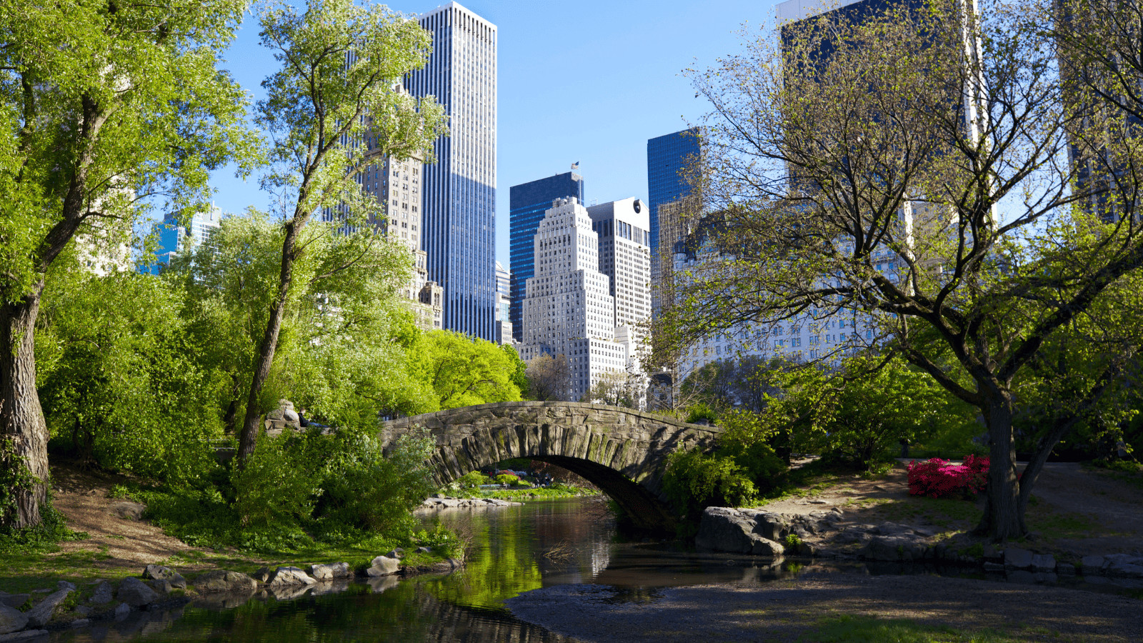 The 10 Best Cities in the US For Digital Nomads, Revealed 5 Central Park New York City
