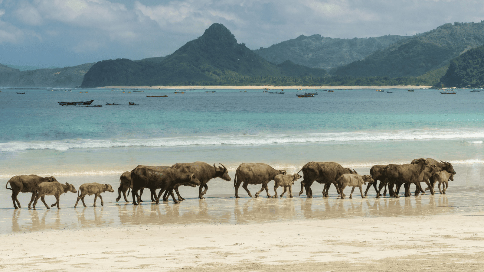 Escape the Crowds: Southeast Asia's Quieter Gems 5 Kuta, Lombok