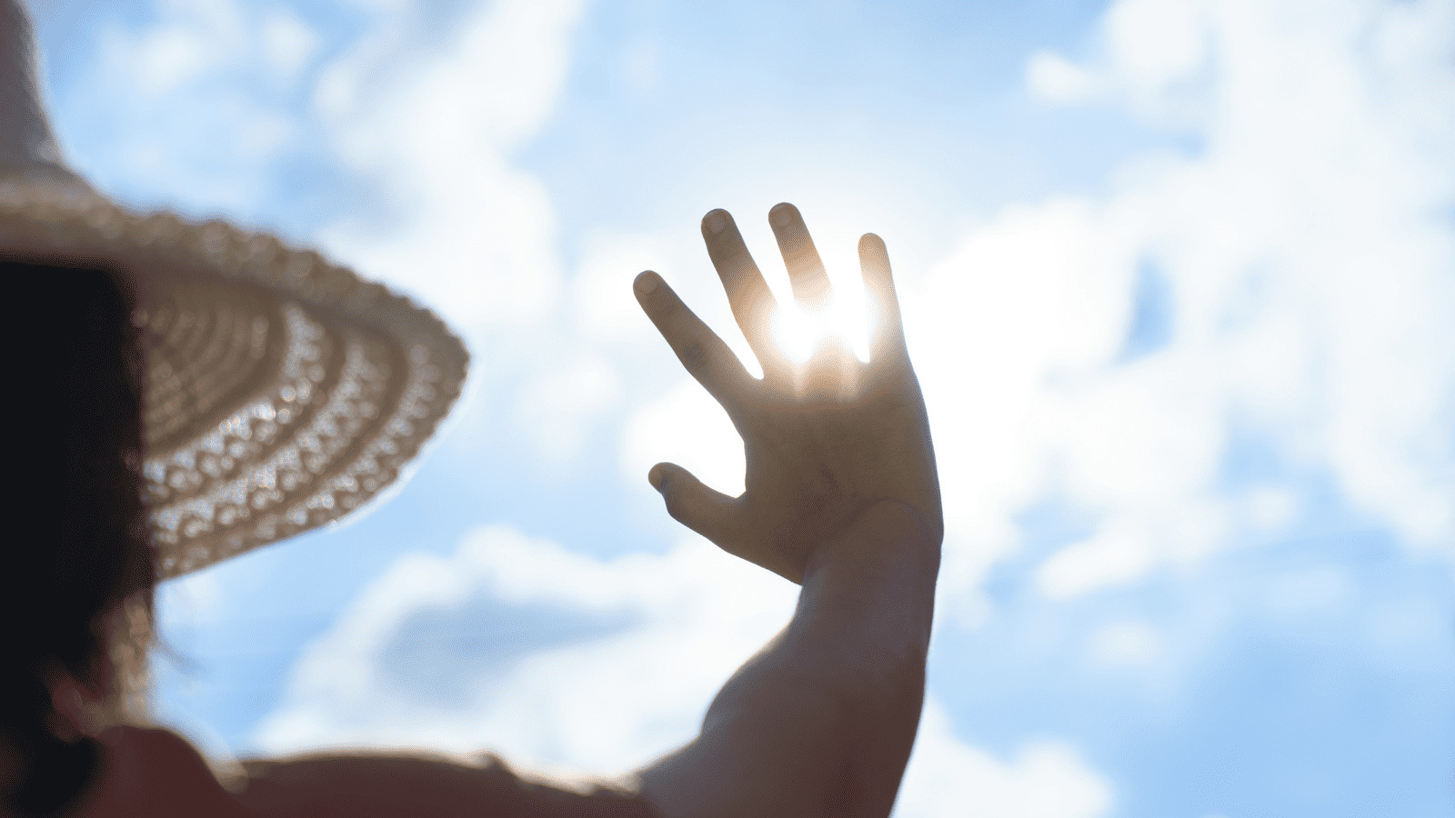 Surviving the Heatwave: What Tourists Must Know 1 Heatwave