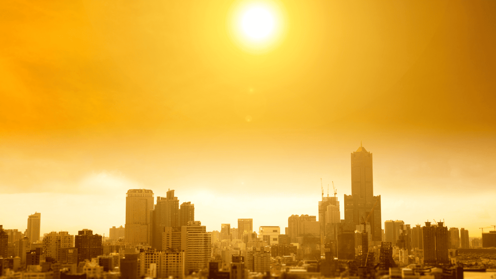 Heatwave