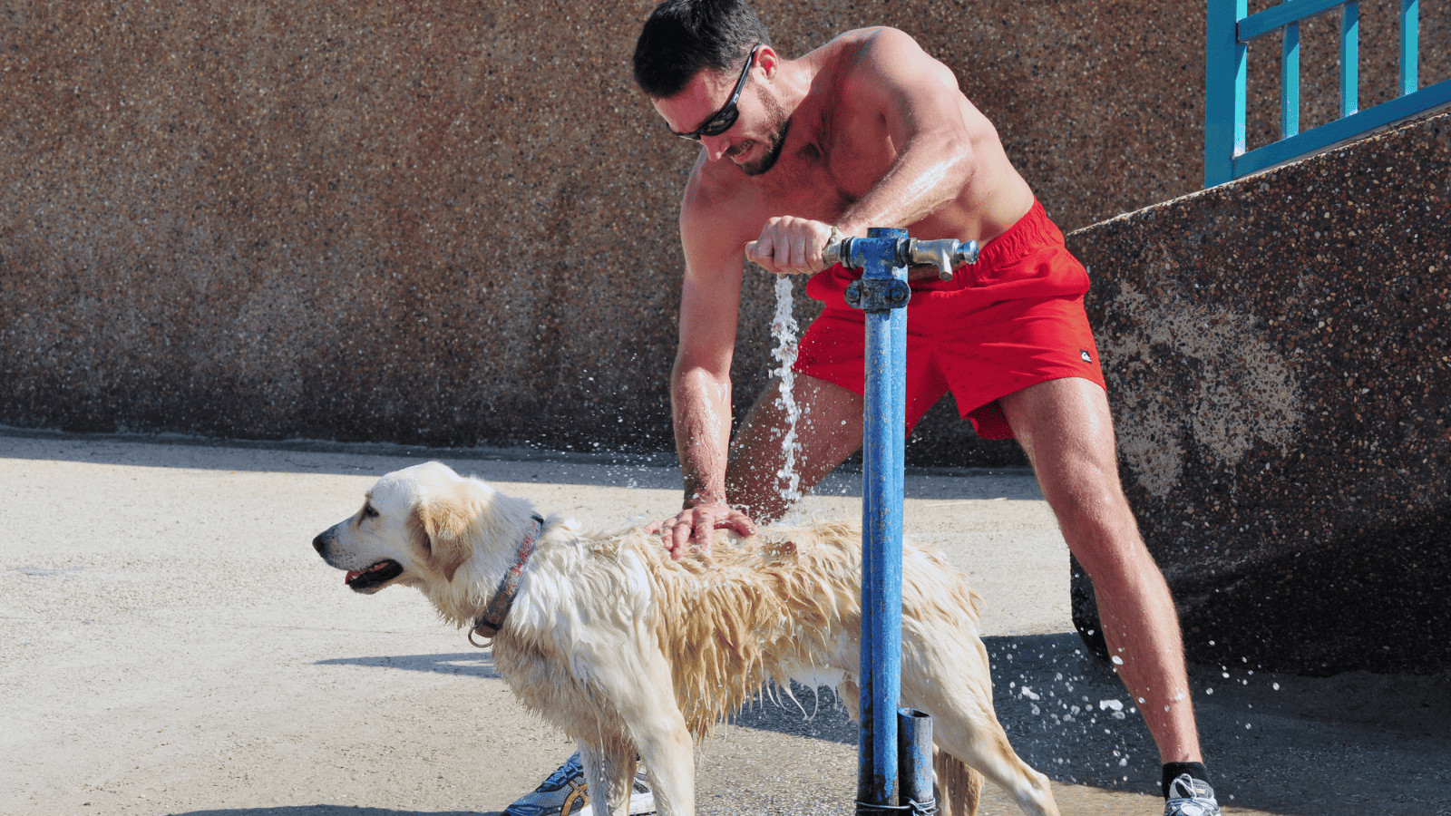 Surviving the Heatwave: What Tourists Must Know 2 Heatwave