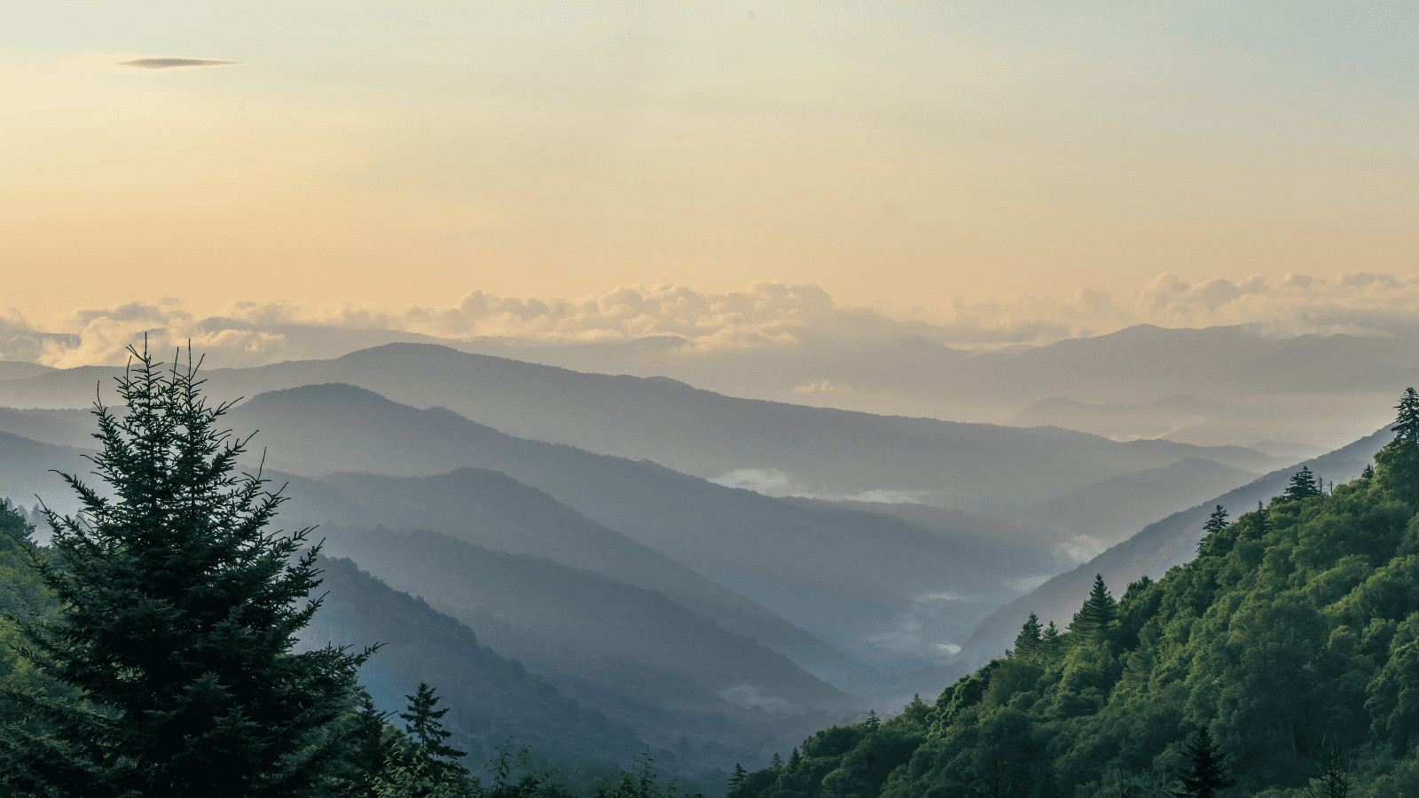 USA's Top Photography Destinations: Fairytale Gorges to Urban Marvels 5 Great Smoky Mountains National Park