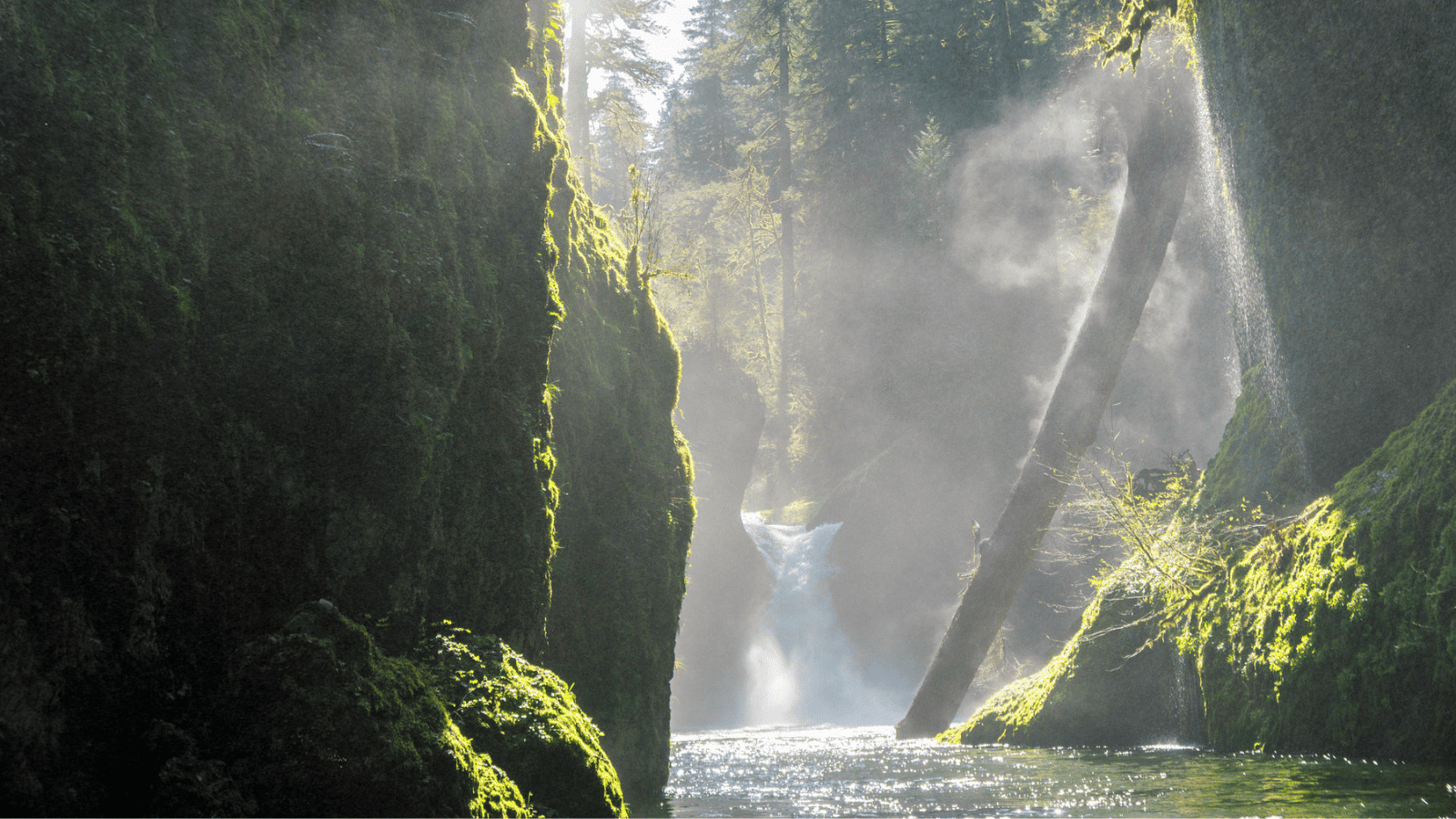 USA's Top Photography Destinations: Fairytale Gorges to Urban Marvels 9 Oneonta Gorge