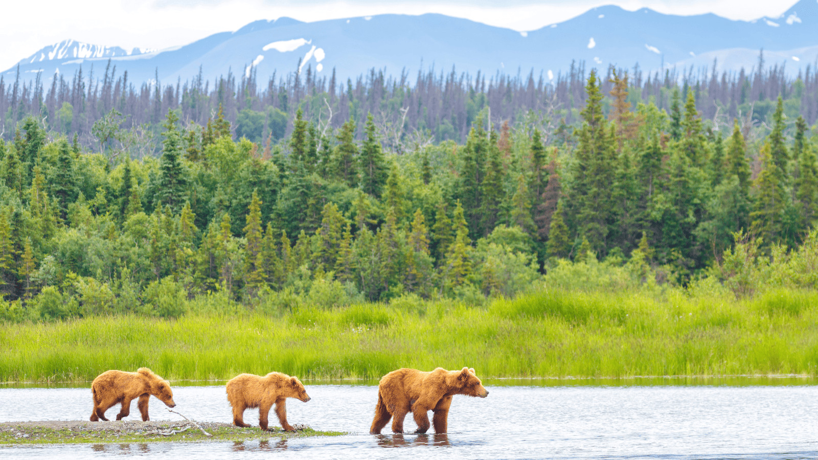 Alaska