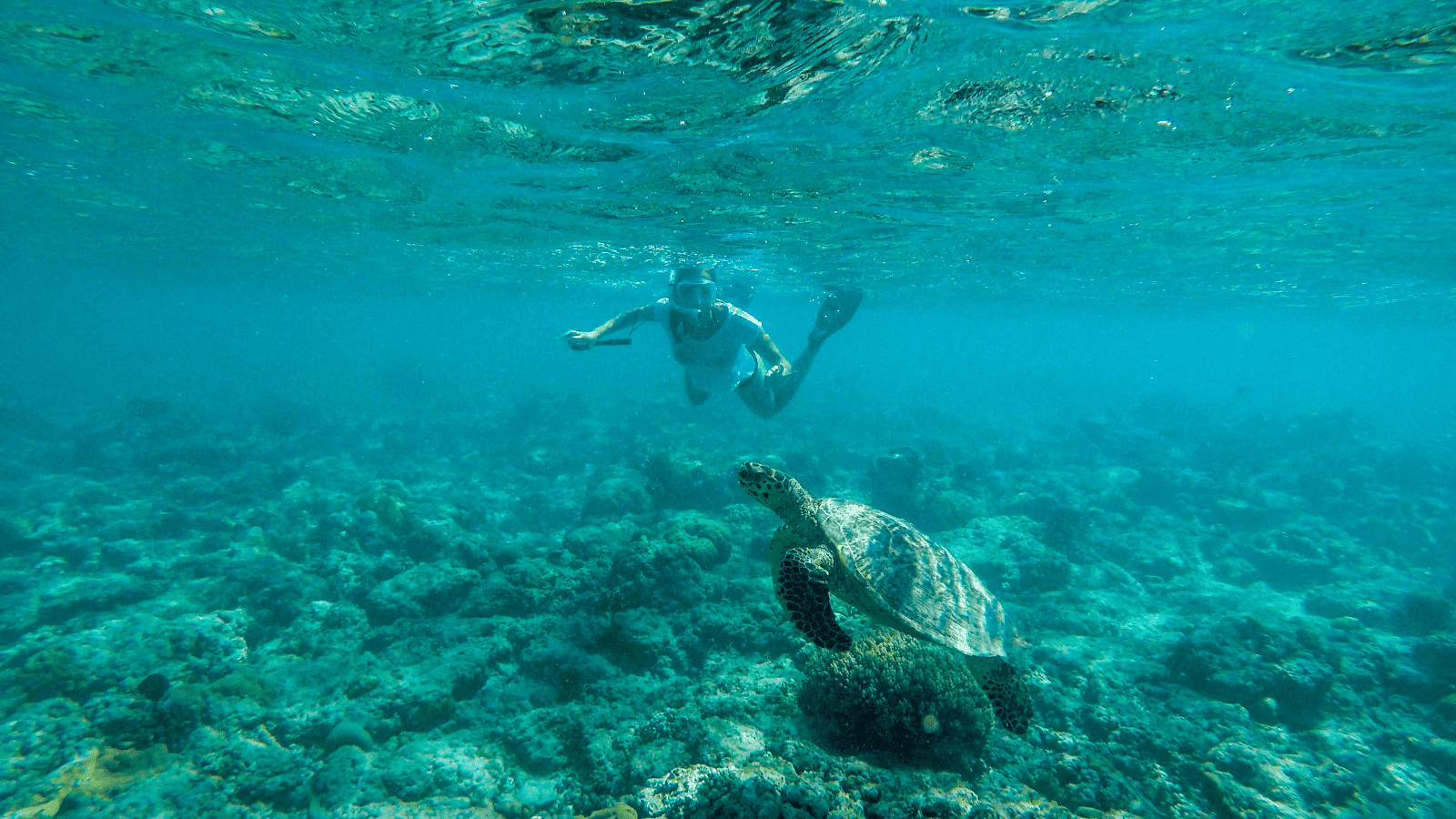 Dive into Wonder: The 10 Best Diving Spots in the World 2 Gili Islands