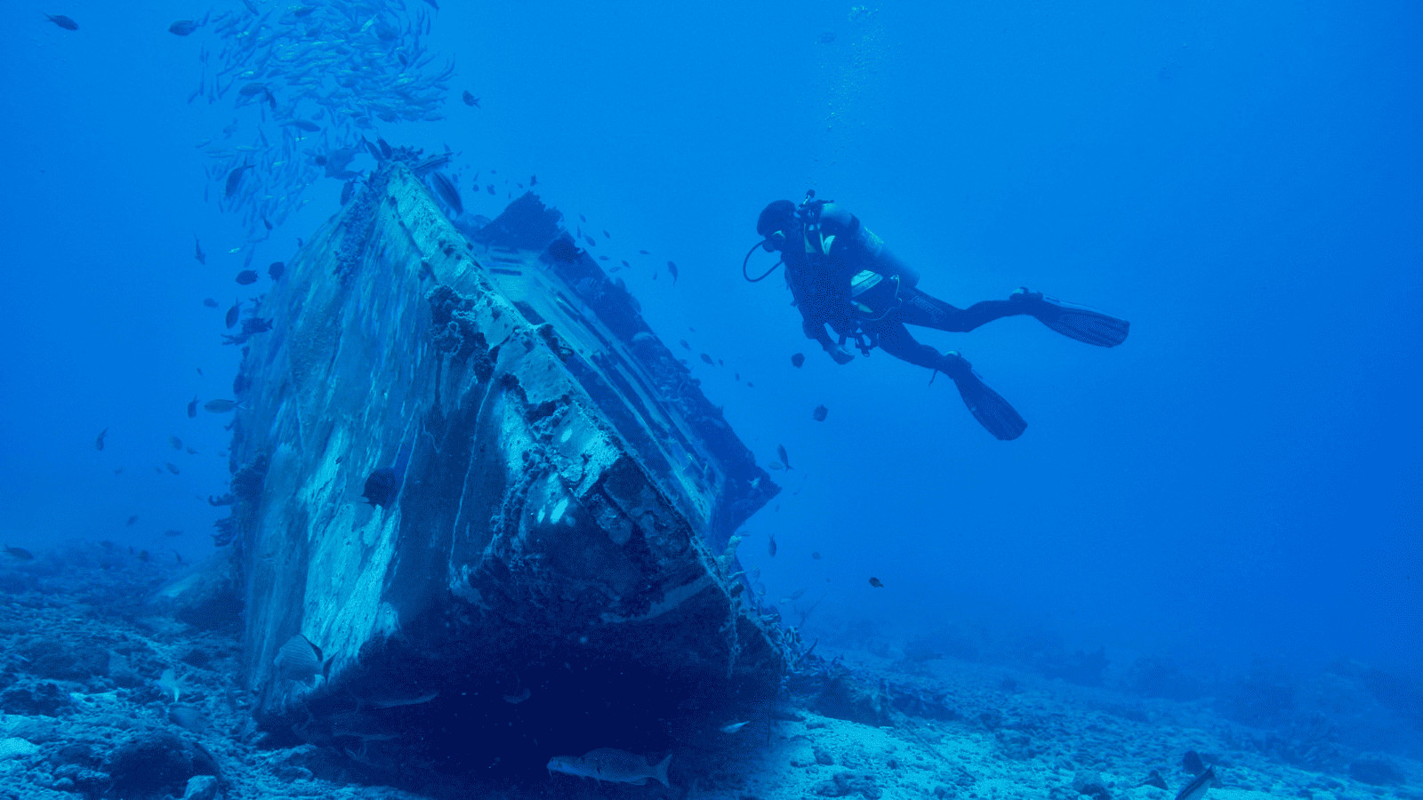 Dive into Wonder: The 10 Best Diving Spots in the World 5 Diving Wreck