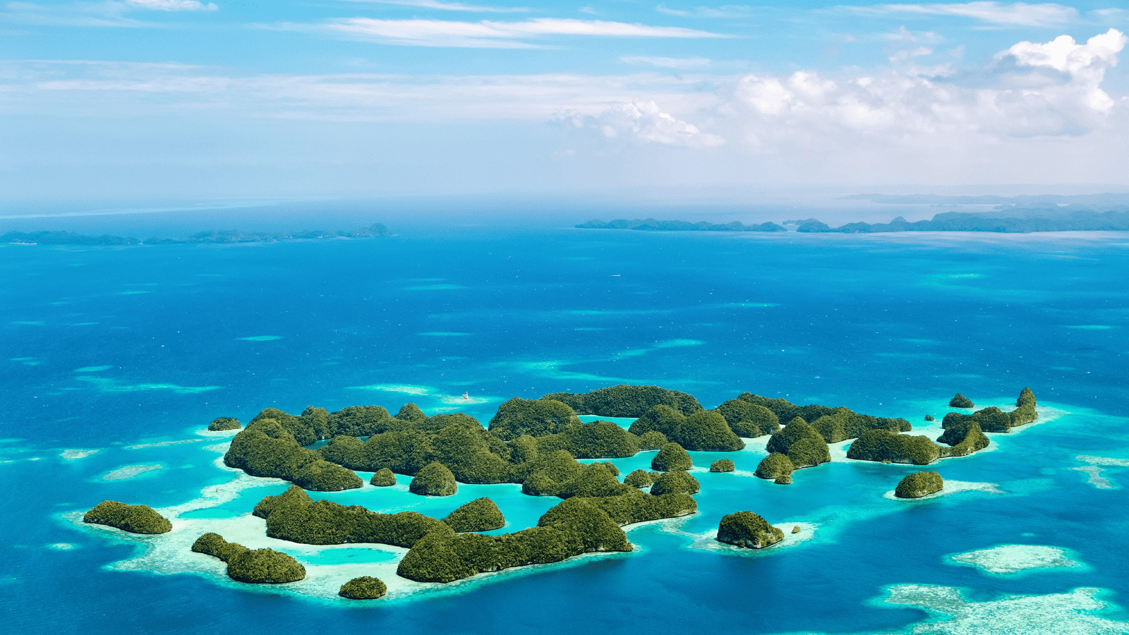 Dive into Wonder: The 10 Best Diving Spots in the World 4 Micronesia