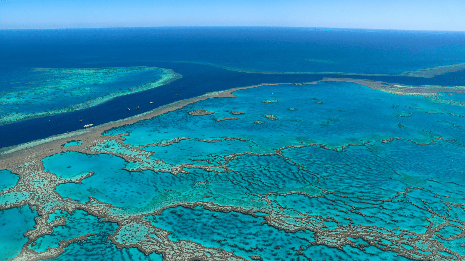 Dive into Wonder: The 10 Best Diving Spots in the World 6 The Great Barrier Reef