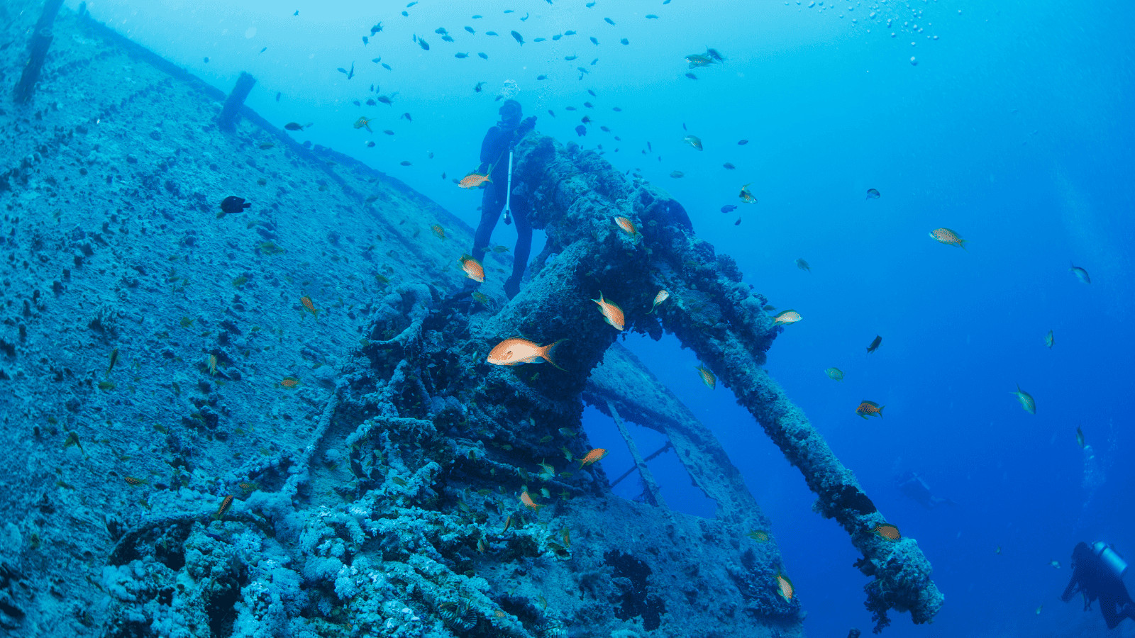 Dive into Wonder: The 10 Best Diving Spots in the World 10 Diving Wreck
