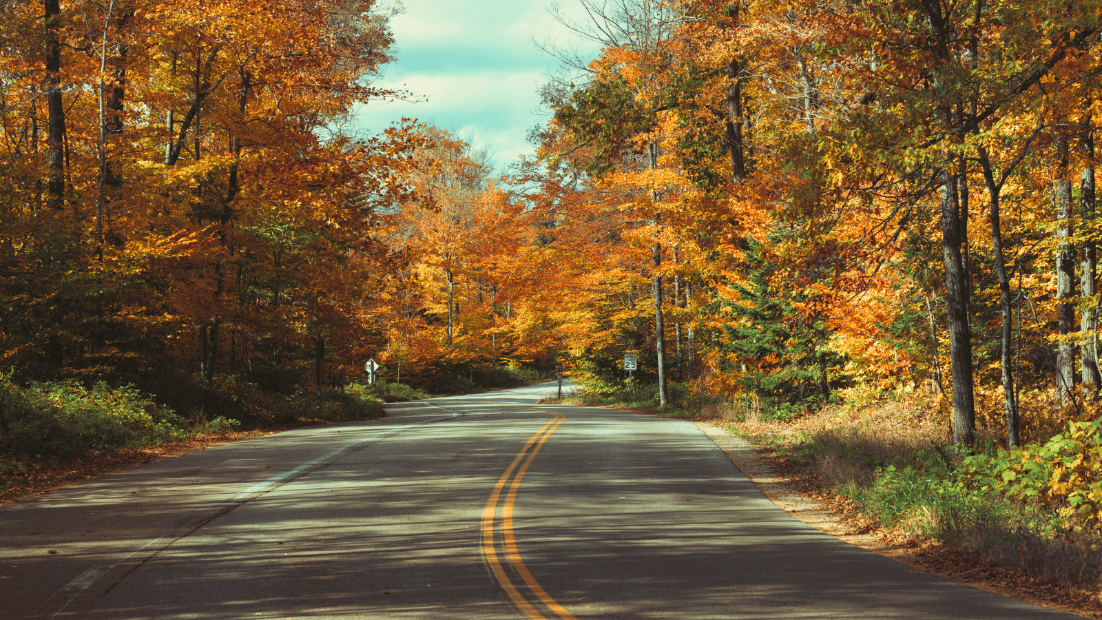 12 Unmissable US Cities for Breathtaking Fall Foliage 7 Door County, Wisconsin