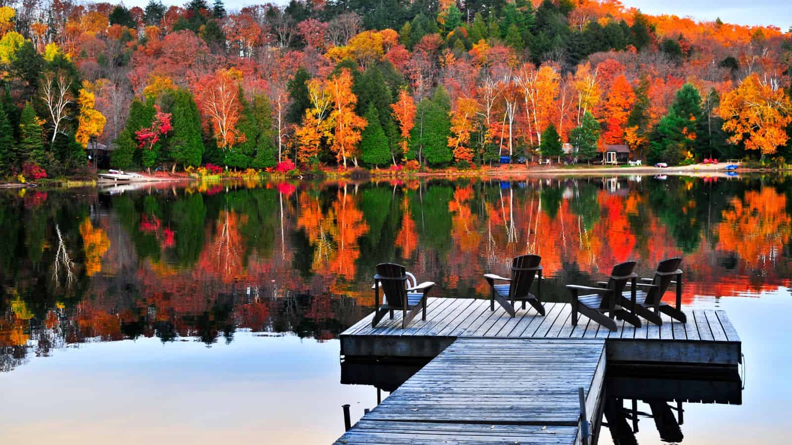 Fall Foliage at Lake