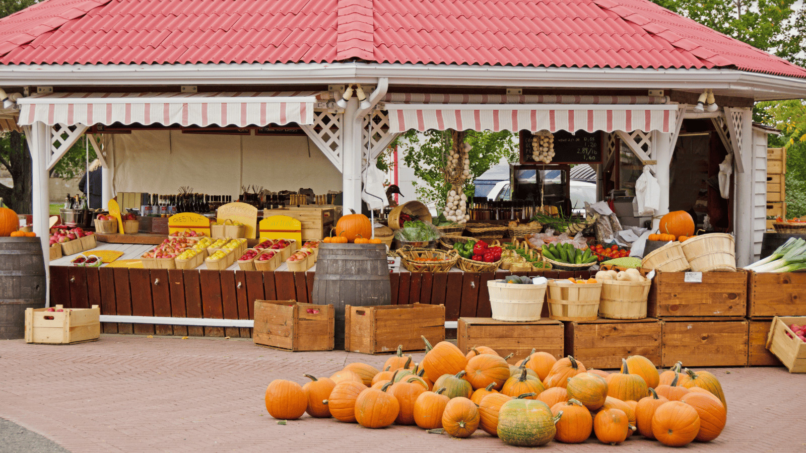 10 Expert Tips for Planning Fall Travel (Yes, Now) 2 Fall Harvest Pumpkins