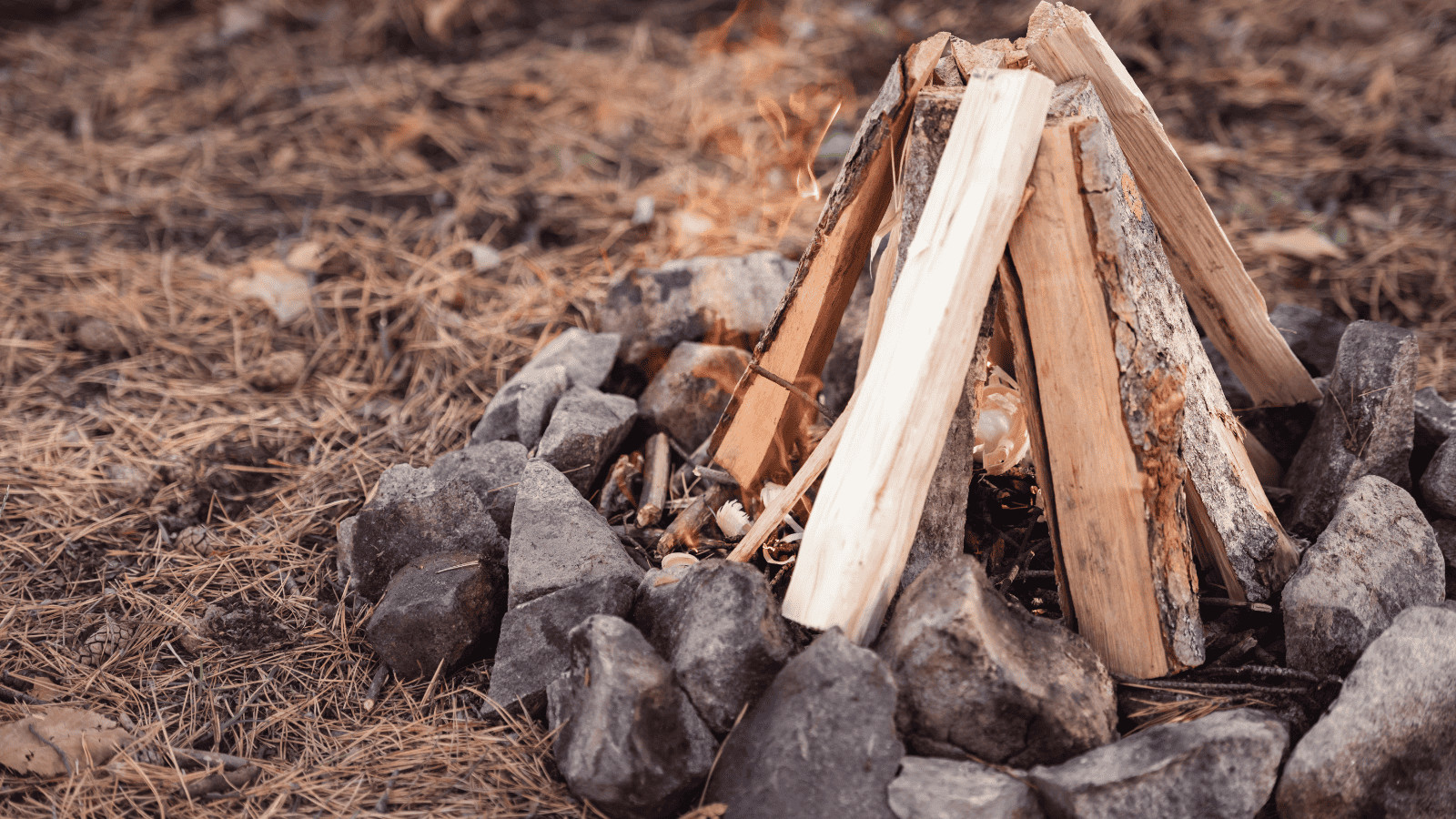 Camping on a Budget: 13 Affordable Camping Tips and Tricks 10 Firewood