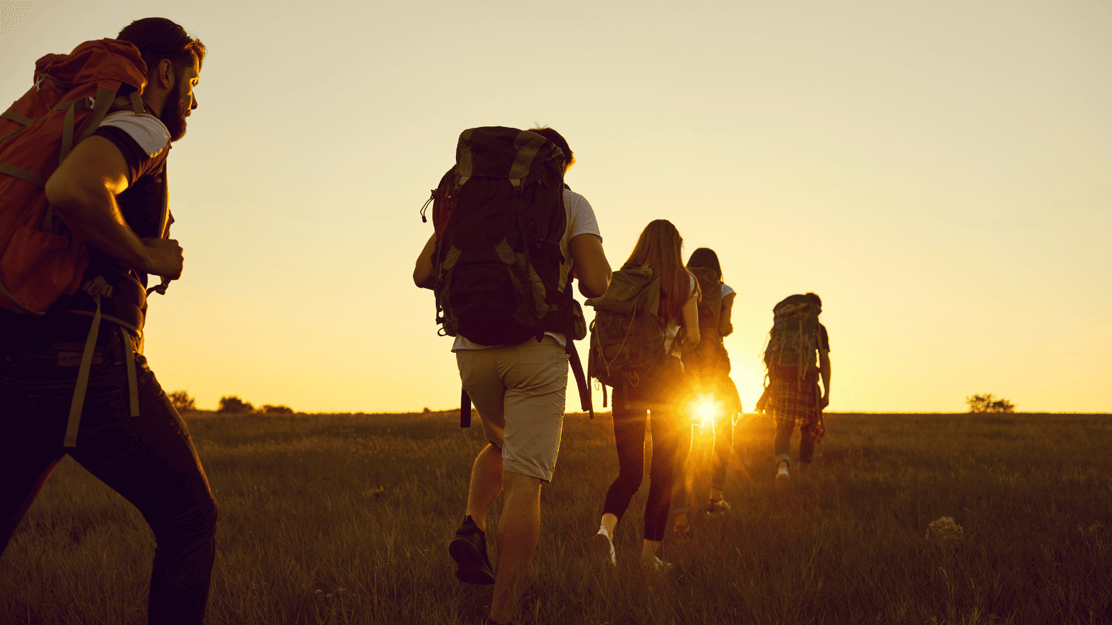9 Game-Changing Hacks for Summer National Park Trips 6 Friends Hiking on Trail