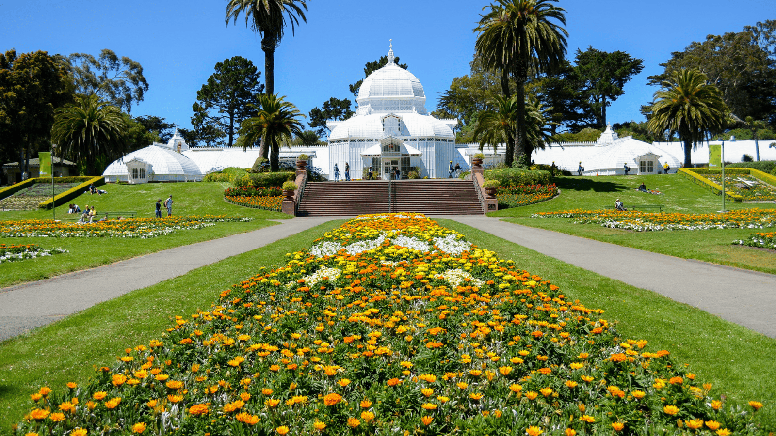 Golden Gate Park San Francisco